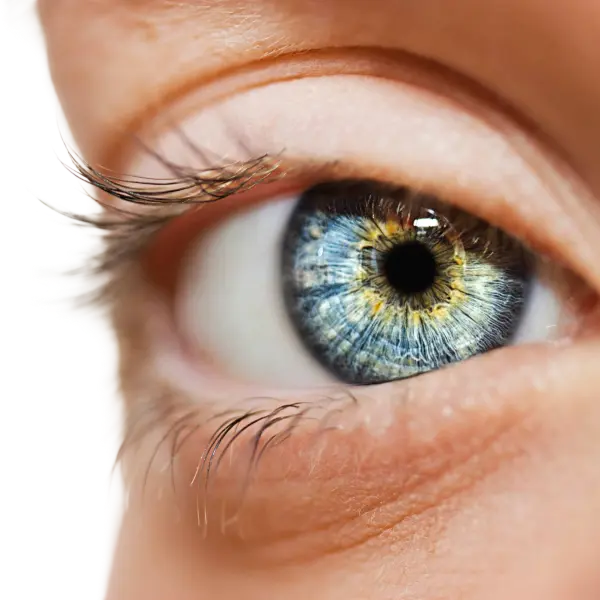 Vision Strain